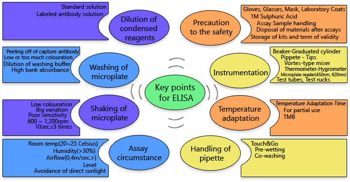 Key points for Rat TSH Elisa Kit